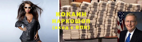 твердый Мегион