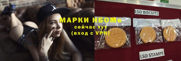 твердый Мегион