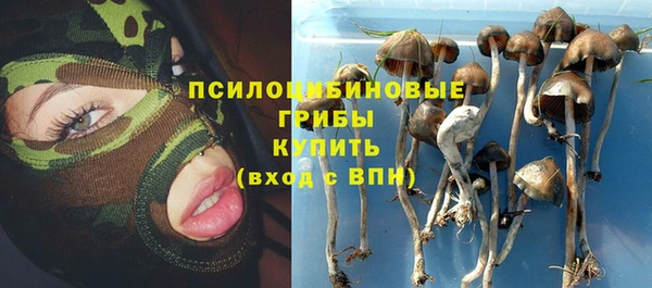 твердый Мегион