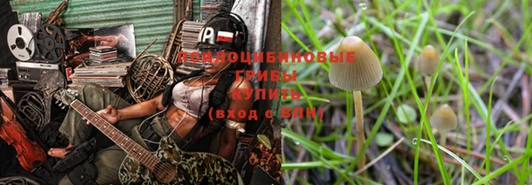 меф Медвежьегорск