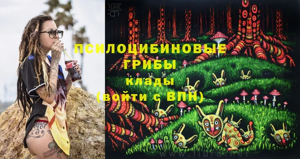 mdpv Медногорск