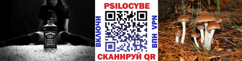 что такое наркотик  Радужный  Галлюциногенные грибы Psilocybine cubensis 